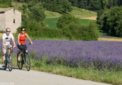 Balade en Vélo